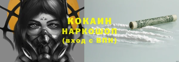 сатива Нягань