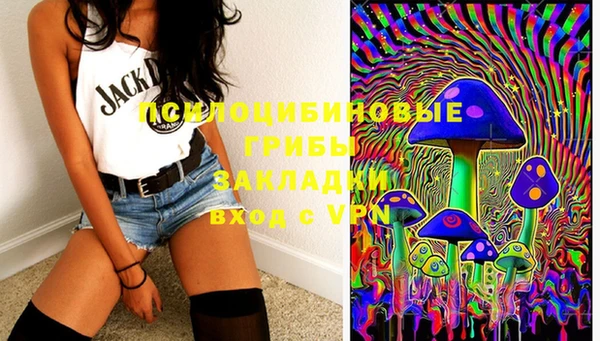альфа пвп Няндома