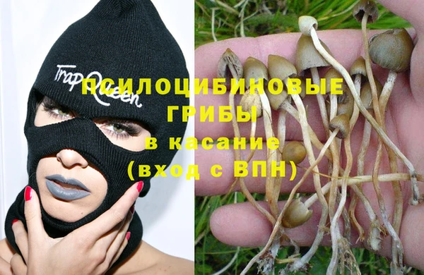 сатива Нягань